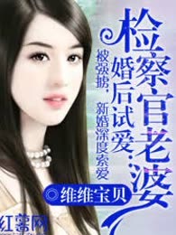 婚后试爱：检察官老婆