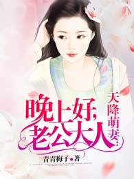 天降萌妻：晚上好，老公大人