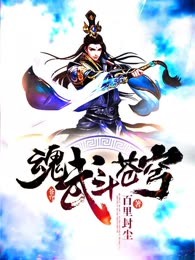 魂武九重天