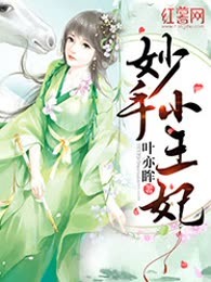 妙手小王妃