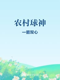 农村球神
