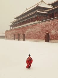 人生若只如初见