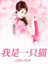 我是一只猫