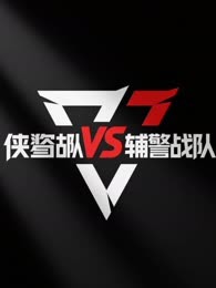 侠盗战队VS辅警战队