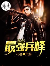 都市无敌高手