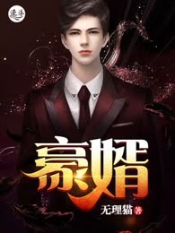 豪婿（又名超级女婿）