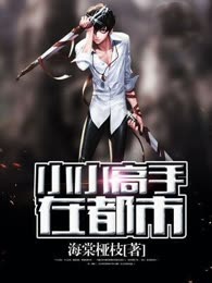 小小高手在都市