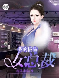 我的极品女总裁