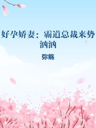 好孕娇妻：霸道总裁来势汹汹
