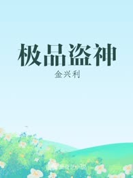极品盗神
