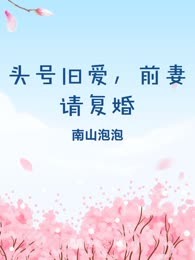 头号旧爱，前妻请复婚