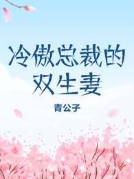 冷傲总裁的双生妻