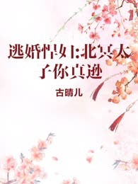 逃婚悍妇:北冥太子你真逊