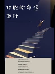 双胞胎命运诡计