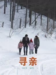 寻亲