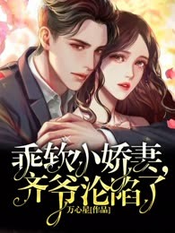 乖软小娇妻，齐爷沦陷了