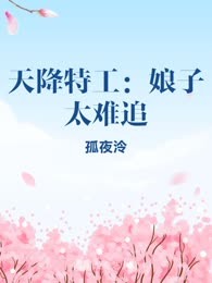 天降特工：娘子太难追