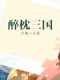 醉枕三国