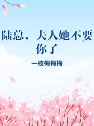 陆总，夫人她不要你了 
